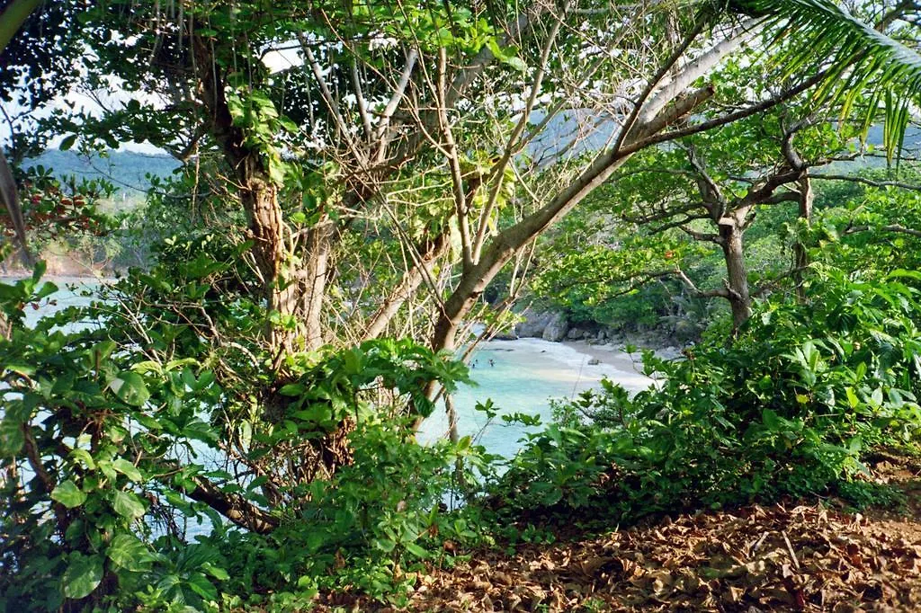 ** Casa de hóspedes Boston Beach Guesthouse Port Antonio Jamaica